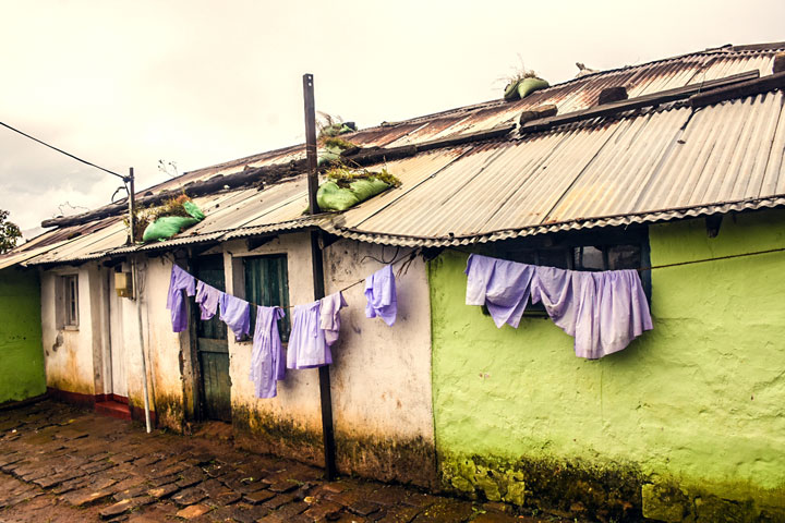 workers home tea state in lanka