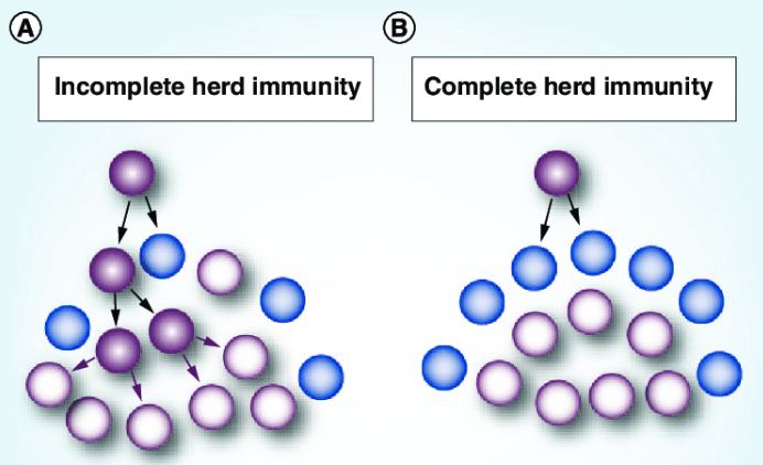 Immunity