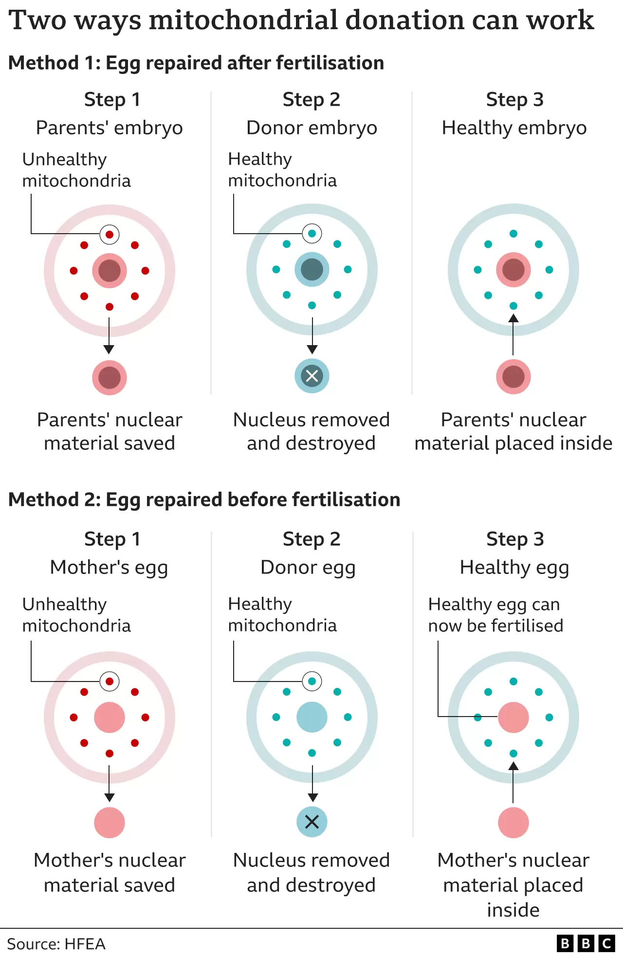  129657377 mitochondrial donation treatment 640 2x nc.png